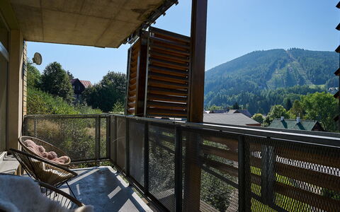 Harrachov 67: Sky, Property, Plant, Wood, Porch, Shade, Building, Tree, Fence, Mountain