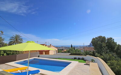 Mimosa