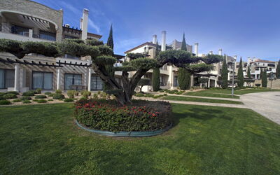 Accommodation:&nbsp;Pine Hills Safira 171.4