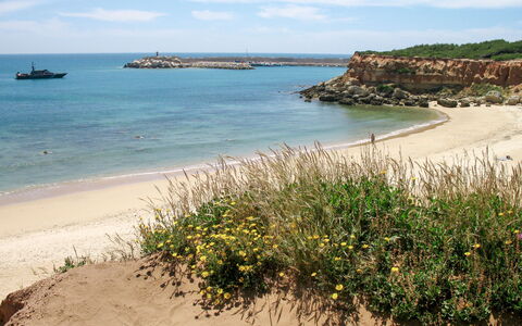 Cristina: Water, Sky, Plant, Cloud, Ecoregion, Flower, Azure, Beach, Natural Environment, Natural Landscape