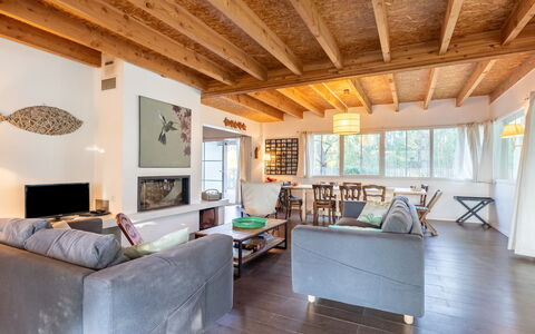Hibiscus 4: Property, Couch, Furniture, Picture Frame, Wood, Window, Interior Design, Lighting, Living Room, Flooring
