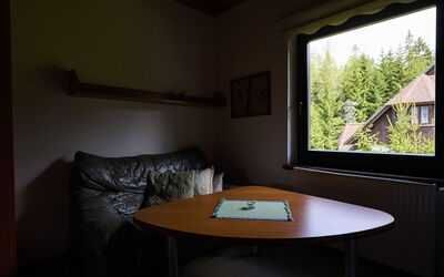 Mountain Duplex & Balcony 547.1: Table, Furniture, Building, Window, Wood, Comfort, Shade, Interior Design, Flooring, Living Room