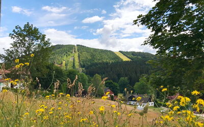 Harrachov 637