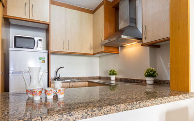 Accommodation:&nbsp;Michelangelo 1 723.1