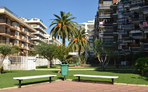 Formentor: Plant, Sky, Water, Property, Building, Azure, Tree, Swimming Pool, Urban Design, Arecales