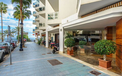 Palm Beach: Plant, Property, Building, Flowerpot, Wheel, Urban Design, Houseplant, Shade, Condominium