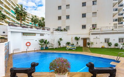 Palm Beach: Water, Plant, Building, Property, Window, Swimming Pool, Azure, Outdoor Furniture, Flower, Interior Design
