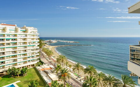 Palm Beach: Water, Sky, Building, Plant, Daytime, Property, Cloud, Azure, Tree, Coastal And Oceanic Landforms