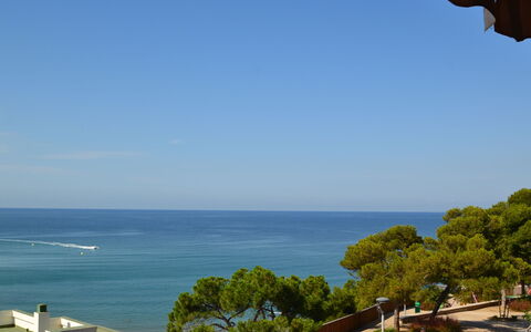 Maresto 1: Water, Building, Plant, Sky, Window, Urban Design, Condominium, Tower Block, Leisure, Swimming Pool