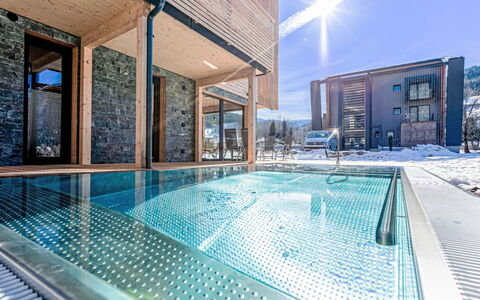 Sankt Georgen am Kreischberg 180: Water, Building, Property, Swimming Pool, Window, Blue, Azure, Sky, House, Shade