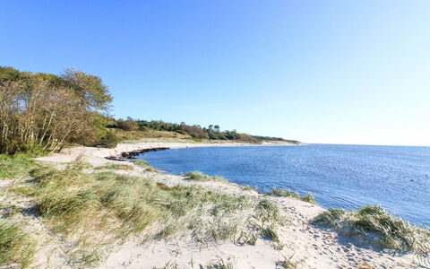 Roir - 250M from the Sea: House, Cottage, Roof, Garden Buildings, Shade, Shed, Backyard, Outdoor Furniture, Yard, Lawn