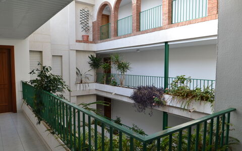 Sevilla: Plant, Property, Houseplant, Building, Flowerpot, Lighting, Interior Design, Wood, Flooring, Floor