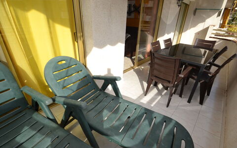 Sevilla: Furniture, Plant, Property, Chair, Interior Design, Houseplant, Armrest, Flooring, Wood, Floor