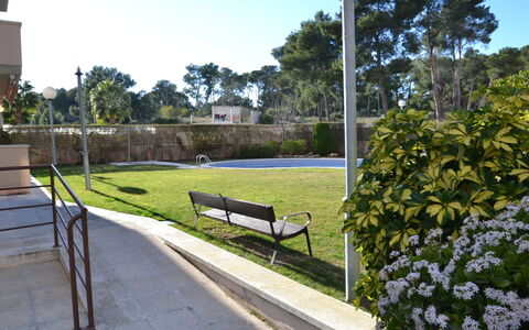 La Pineda 704: Plant, Sky, Outdoor Bench, Road Surface, Shade, Tree, Leisure, Grass, Building, Urban Design