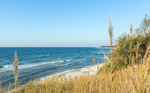 Kajsa - 50M from the Sea: House, Home, Roof, Cottage, Land Lot, Estate, Farmhouse, Village, Farm