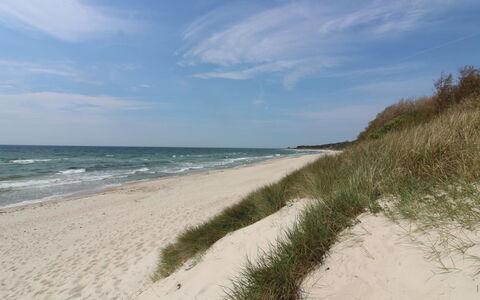 Greta - 200M from the Sea: Body Of Water, Beach, Coast, Coastal And Oceanic Landforms, Shore, Sea, Sand, Ocean, Bank