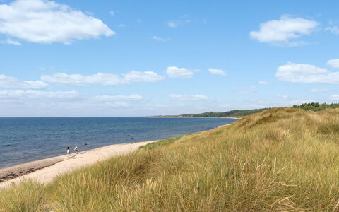 Anarosa - 200M from the Sea: Body Of Water, Coast, Beach, Horizon, Coastal And Oceanic Landforms, Shore, Sea, Sand, Ecoregion, Ocean