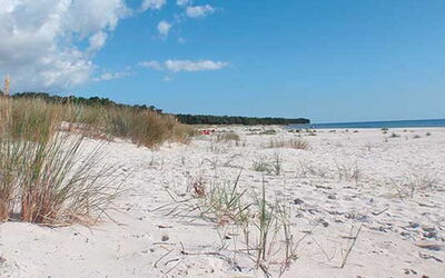 Nis - 200M from the Sea