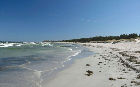 Talvikki - 250M from the Sea: Blue, Beach, Sea, Coast, Horizon, Coastal And Oceanic Landforms, Ocean, Shore, Wind Wave