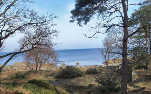 Lätizia - 300M from the Sea: Sky, Blue, Natural Environment, Vegetation, Branch, Natural Landscape, Coast, Ecoregion, Coastal And Oceanic Landforms, Plant Community