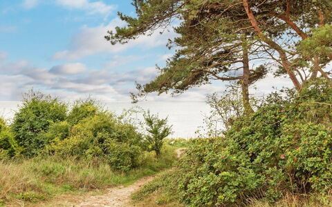 Milrid - 800M from the Sea: Wood, House, Cottage, Home, Roof, Rural Area, Siding, Log Cabin, Garden Buildings, Hardwood