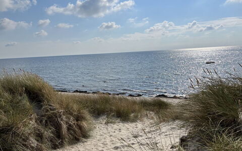 Majken - 300M from the Sea: Wood, Furniture, Apartment, Room, Ceiling, Wood Stain, Chair, Hardwood, Varnish, Lumber