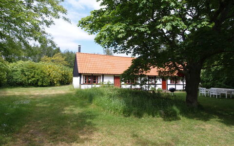 Viggo - 300M from the Sea: Wood, House, Cottage, Home, Roof, Rural Area, Siding, Log Cabin, Garden Buildings, Hardwood
