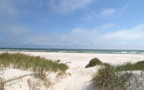 Øthger - 300M from the Sea: Roof, House, Home, Cottage, Siding, Estate, Driveway, Garden Buildings, Yard, Shed