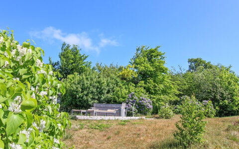 Benna - 120M from the Sea: Blue, Tree, Green, Leaf, Nature, Vegetation, Shrub, Plant Community, Land Lot, Rural Area