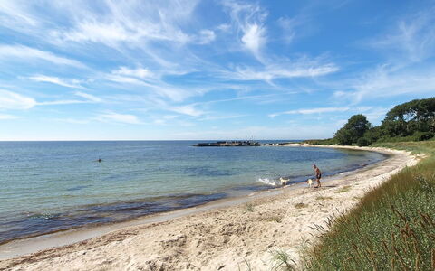 Benna - 120M from the Sea: Water, Body Of Water, Beach, Coast, Shore, Coastal And Oceanic Landforms, Sea, Horizon, Sand