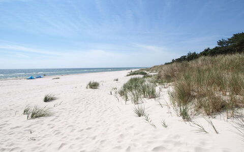 Lillesol - 400M from the Sea: Blue, Natural Environment, Beach, Coast, Coastal And Oceanic Landforms, Sea, Shore, Sand, Ocean, Tropics