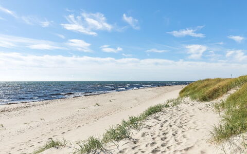 Ailen - 500M from the Sea: Wood, House, Cottage, Home, Roof, Rural Area, Siding, Log Cabin, Garden Buildings, Hardwood