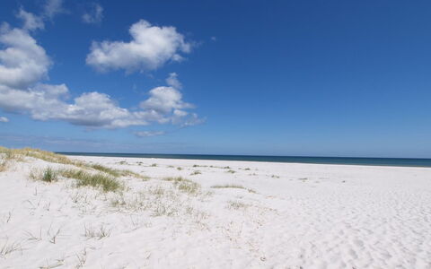 Jose - 300M from the Sea: Roof, House, Land Lot, Home, Cottage, Estate, Garden Buildings, Shade, Log Cabin, Landscaping