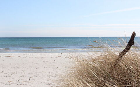 Elza - 800M from the Sea: Roof, House, Land Lot, Home, Cottage, Estate, Garden Buildings, Shade, Log Cabin, Landscaping