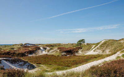 Elza - 800M from the Sea