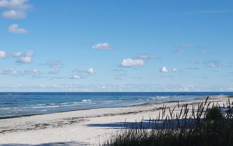Adelbrand - 400M from the Sea: Wood, House, Cottage, Home, Roof, Rural Area, Siding, Log Cabin, Garden Buildings, Hardwood