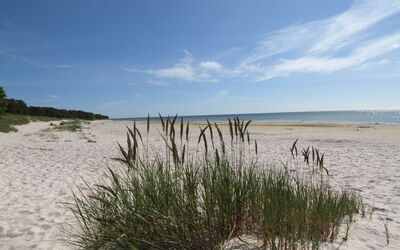 Patti - 150M from the Sea