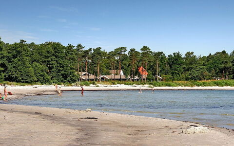 Ødmar - 400M from the Sea: Beach, Coast, Shore, Coastal And Oceanic Landforms, Sea, Wind Wave, Sand, Wave, Ocean