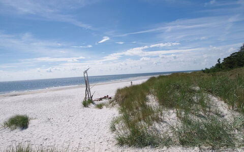 Dagi - 300M from the Sea: Wood, House, Cottage, Home, Roof, Rural Area, Siding, Log Cabin, Garden Buildings, Hardwood