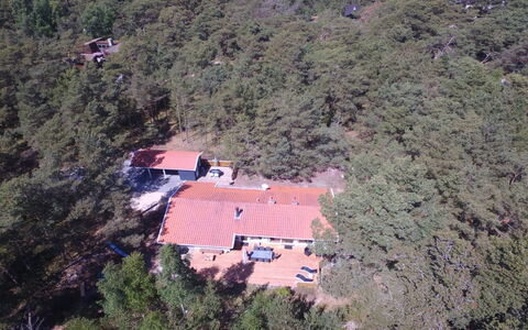 Dagi - 300M from the Sea: Wood, House, Cottage, Home, Roof, Rural Area, Siding, Log Cabin, Garden Buildings, Hardwood