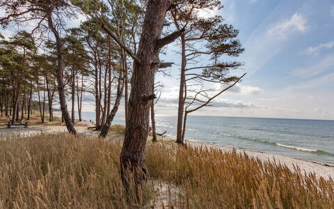 Hildegerd - 500M from the Sea: Flooring, Floor, Ceiling, Interior Design, Countertop, Kitchen, Cabinetry, Room, Major Appliance, Light Fixture