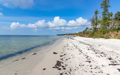 Hildegerd - 500M from the Sea