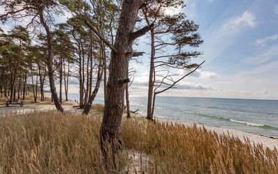 Hildegerd - 500M from the Sea