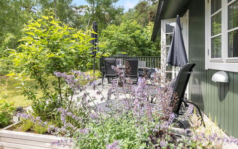 Tume - 200M from the Sea: Shrub, Garden, Plant Community, Groundcover, Backyard, Yard, Landscaping, Shade, Fence, Outdoor Structure