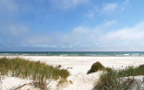 Georg - 300M from the Sea: Roof, House, Home, Cottage, Siding, Estate, Driveway, Garden Buildings, Yard, Shed