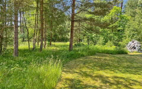 Ila - 500M from the Sea: Green, Grass, Tree, Leaf, Natural Environment, Natural Landscape, Vegetation, Grassland, Summer, Shrub