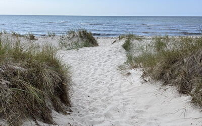 Alde - 300M from the Sea