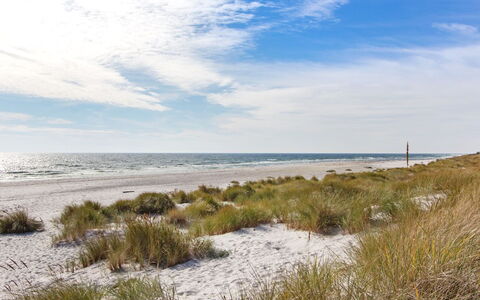 Loke - 300M from the Sea: Wood, House, Cottage, Home, Roof, Rural Area, Siding, Log Cabin, Garden Buildings, Hardwood
