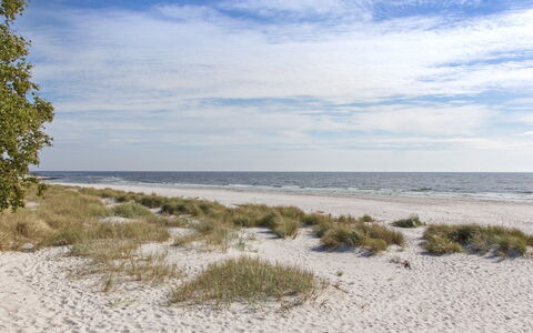Loke - 300M from the Sea: House, Cottage, Roof, Garden Buildings, Shade, Shed, Backyard, Outdoor Furniture, Yard, Lawn
