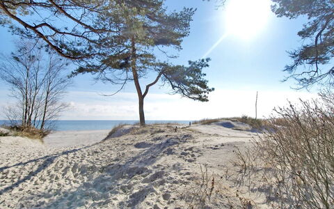 Franzine - 200M from the Sea: Cottage, Garden, Siding, Garden Buildings, Shade, Yard, Backyard, Lawn, Farmhouse, Landscaping